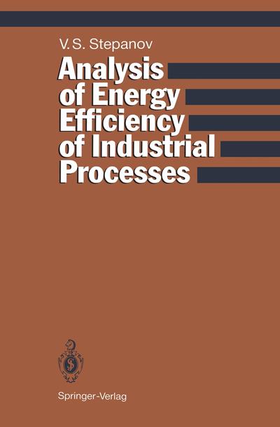 Analysis of Energy Efficiency of Industrial Processes, Springer, eBook ...